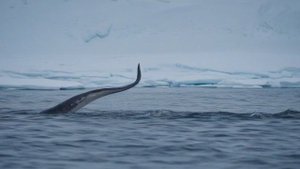 Интересные факты о Екатеринбурге