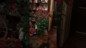 ДУХИ В КОМНАТЕ   @ВЕДЬМИНА ИЗБА @ИНГА ХОСРОЕВА