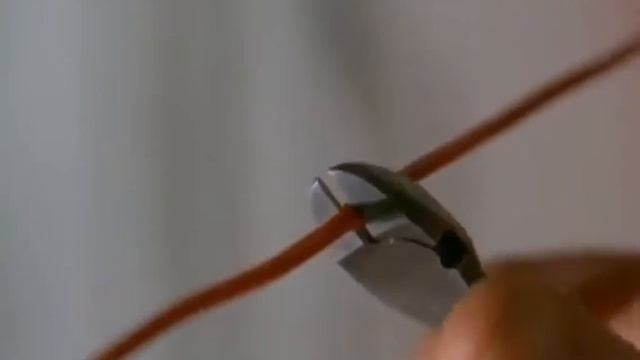 Честный детектив