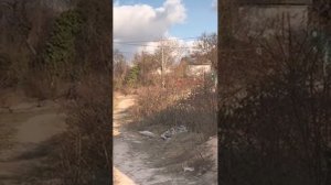 Участок в Севастополе
