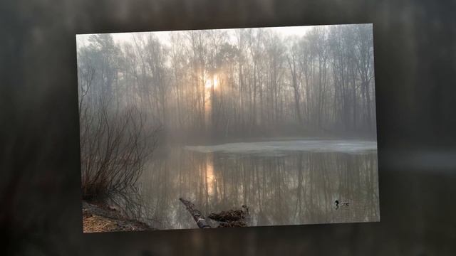 В природе столько нежности весной смотреть онлайн