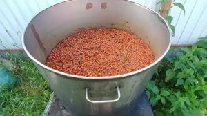 Вишневый самогон или Киршвассер!!!