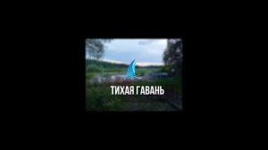 тихая гавань