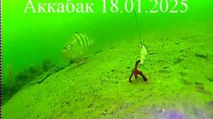 АкКабак, Костанайская область