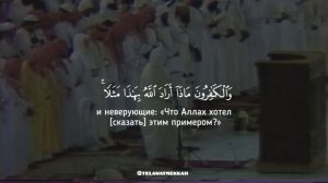 сура аль Муддассир (Завернувшийся) || шейх Али Джабир