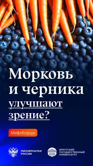 Черника и морковь улучшают зрение?