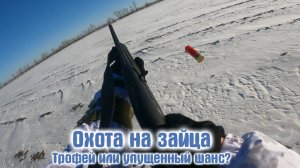 Охота на зайца – третья попытка, новые эмоции!