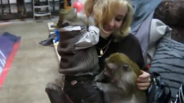 Иванушка, Жуля и Оксана смотреть онлайн