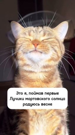 ☀️ А вы радуетесь весне? #весна #психотерапевтворонеж #психолог