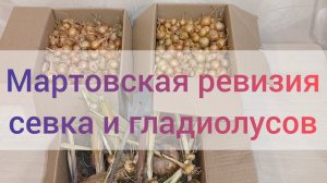 Экономлю на севке - покупаю осенью и храню до весны.