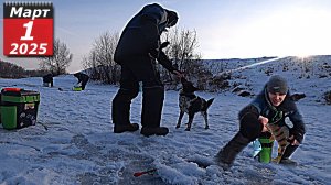 Сезон зимней рыбалки подходит к концу так и не начавшись.