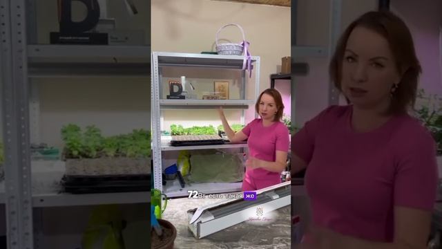 Фитолампа — главный помощник в выращивании рассады!