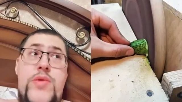 Потеряли огурца