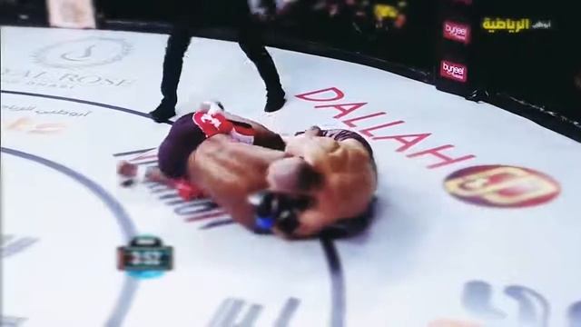 Khamzat BORZ Chimaev Highlights