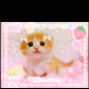 кисики 💗🎀🌈