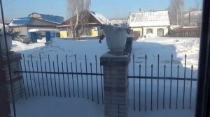 Сибирская весна! Посмотрите, какая она у нас!