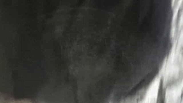 ヤママユガの仲間　Antheraea frithi Moore, 1859 смотреть онлайн