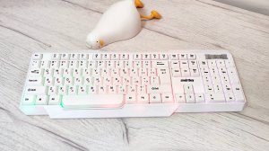 Клавиатура Smartbuy SBK-333U-W - демонстрация подсветки и уровень громкости при наборе текста