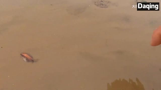 After the sea is retired the soil on the beach in the high temperature is not in the sand...