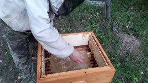 Сколько взяли сиропа за четыре дня