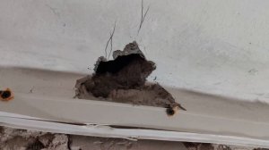 Прокладка кабеля по потолку своими руками