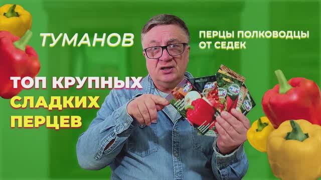 Сладкие перцы 2025. Русские полководцы!