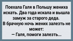 Как Галя в Польше Женихов Искала! Сборник Свежих Анекдотов! Юмор!