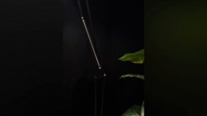 Обзор светильников GOLIATH от ARTE Lamp