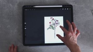 Как рисовать авторские эскизы/макеты на телефоне и планшете в Procreate