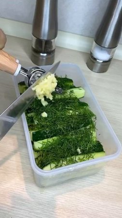🥒 Закусочные «ОГУРЧИКИ»