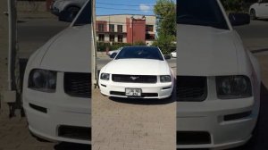 палитра автомобилей Ford Mustang на любой вкус