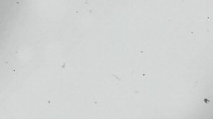 Совесть, Деньги, Любовь (INTRO)