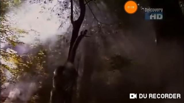 When dinosaurs roamed america part 2 смотреть онлайн