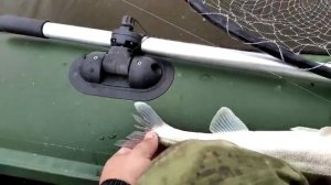 Рыбалка на спиннинг осень сентябрь  река Ница ловля с лодки пвх на джиг хищник