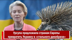 Урсула предложила странам Европы превратить Украину в «стального дикобраза»