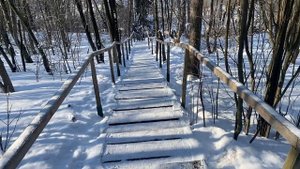 Спуск по лестнице DenBan4