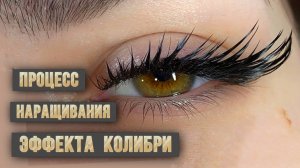 Процесс наращивания авторского эффекта Колибри с миксом изгибов