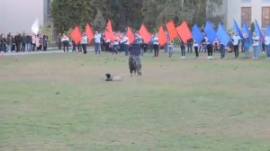 05.10.2018 НПИ Новочеркасск