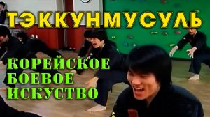 Корейское боевое искуство-Тэккунмусуль