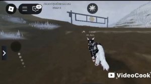 коты воители сериал звёздный путь 1 сезон 3 серия котывоители звёздныйпуть 1сезон3серия