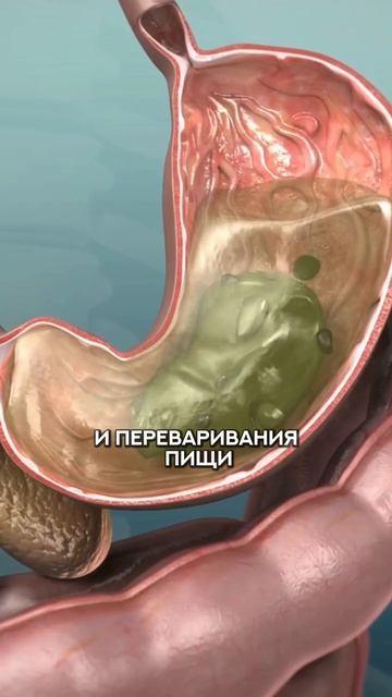 почему кофе натощак это плохая идея? #спорт #рецепт #нутрициолог #стресс #потерявеса #кофе #шортс
