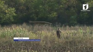 Для вступления в охотничьи общества предстоит сдать экзамен