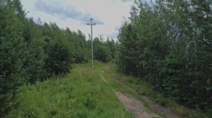 Продажа участка 1,4 гектара в п. Дуброво, Свердловская область