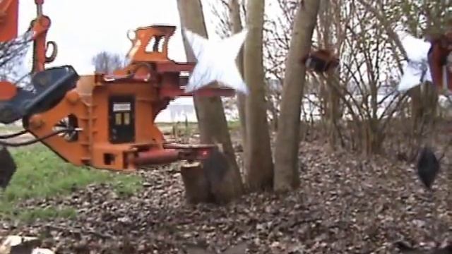 Copia di Harvester - Cesoia forestale alberi e rami Conterno & Occelli Cut Tree Forestry tree shear смотреть онлайн