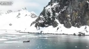 Что нашёл Кусто в Антарктиде?