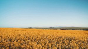 Команда Осипова. Вот и март на дворе