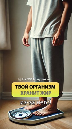 Твой организм хранит жир, из-за него!