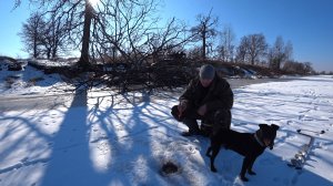 ВОЛКИ ЗАГРЫЗЛИ ЛОСЕНКА! СОБАКУ СПАСАЮ в МАШИНЕ. ЛОВЛЮ РЫБУ в ЗАПОВЕДНИКЕ.