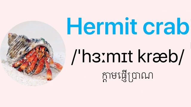 Ep03. Learn English To Khmer Vocabulary Words With Pictures About Animals Speak English One SuY
