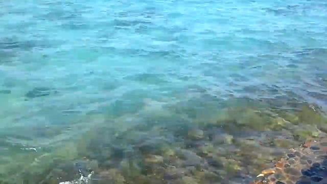 Хургада 1 смотреть онлайн